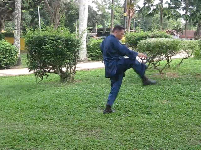 Wu Yu Xiang Style Taijiquan